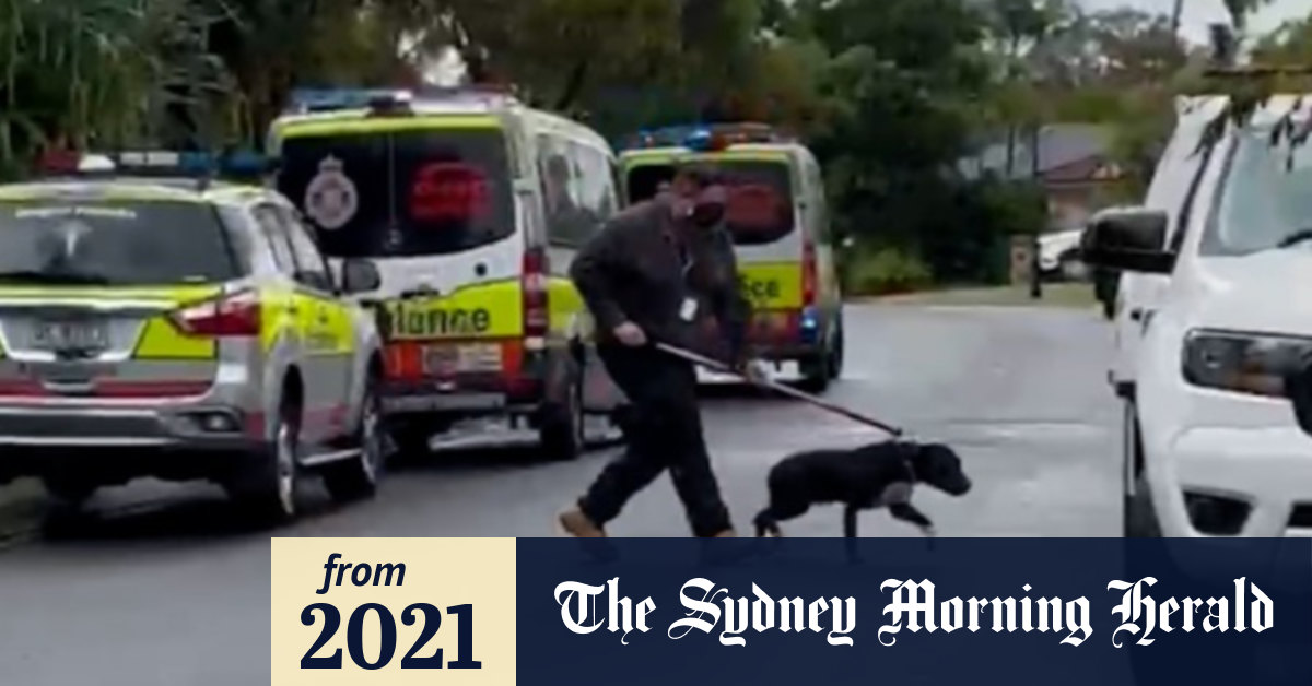 Video Fiveyearold boy fighting for life after being mauled by dog